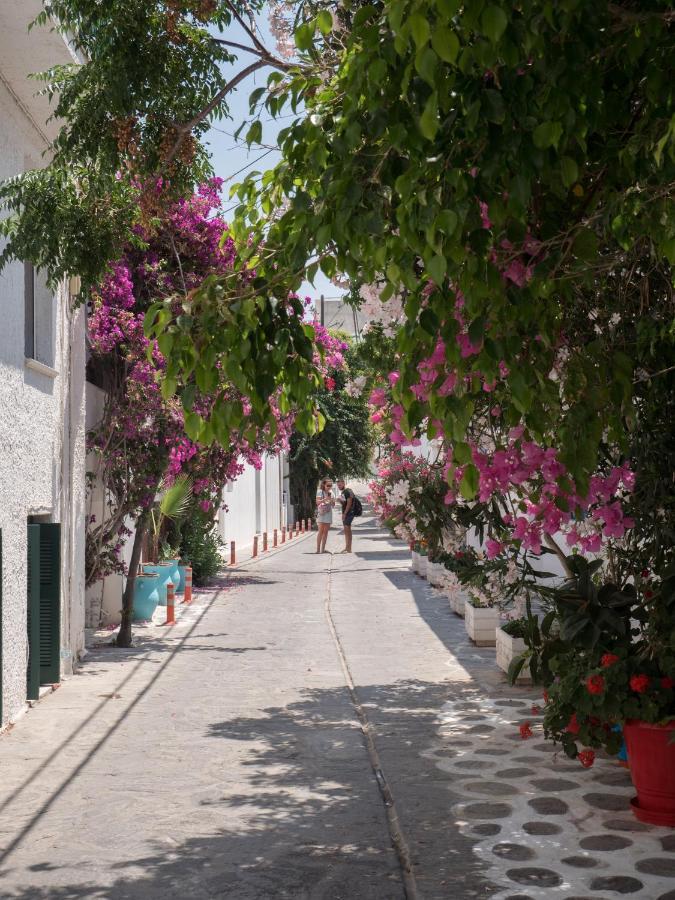 Terra Fos Naxos Studios Naxos City Exterior photo